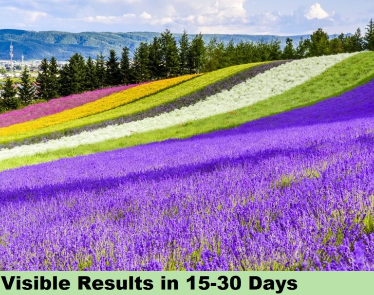 Effect on Flowers - Results