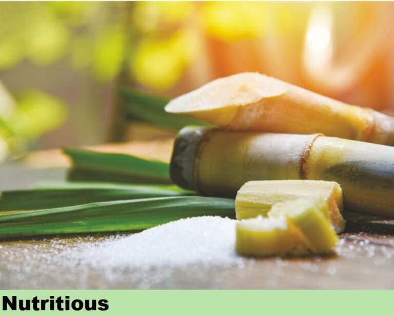 Effect on Sugarcane - Nutrious