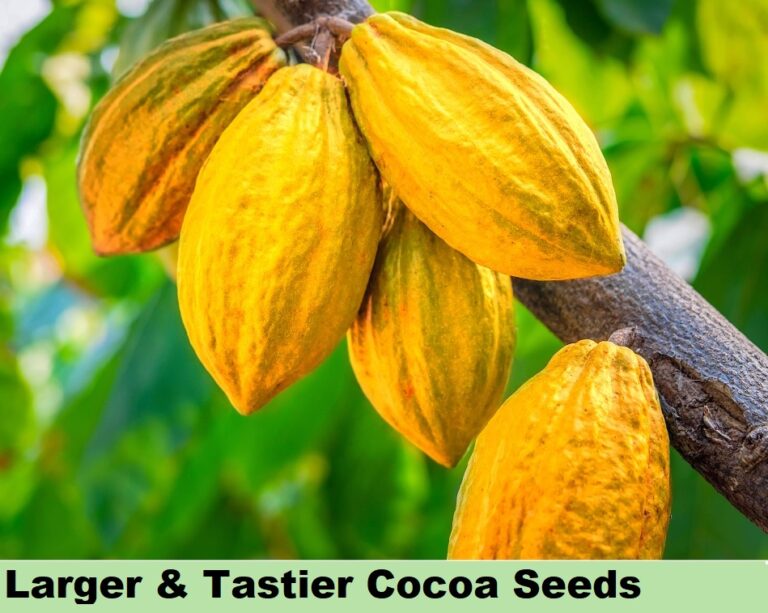 Effect on Tea Cofee - larger