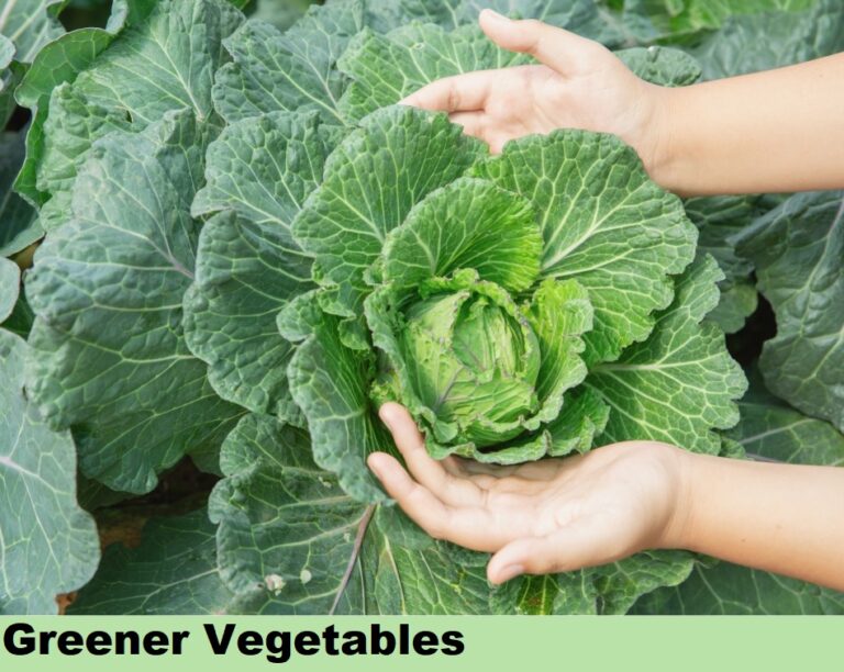 Effect on Vegitables - greener